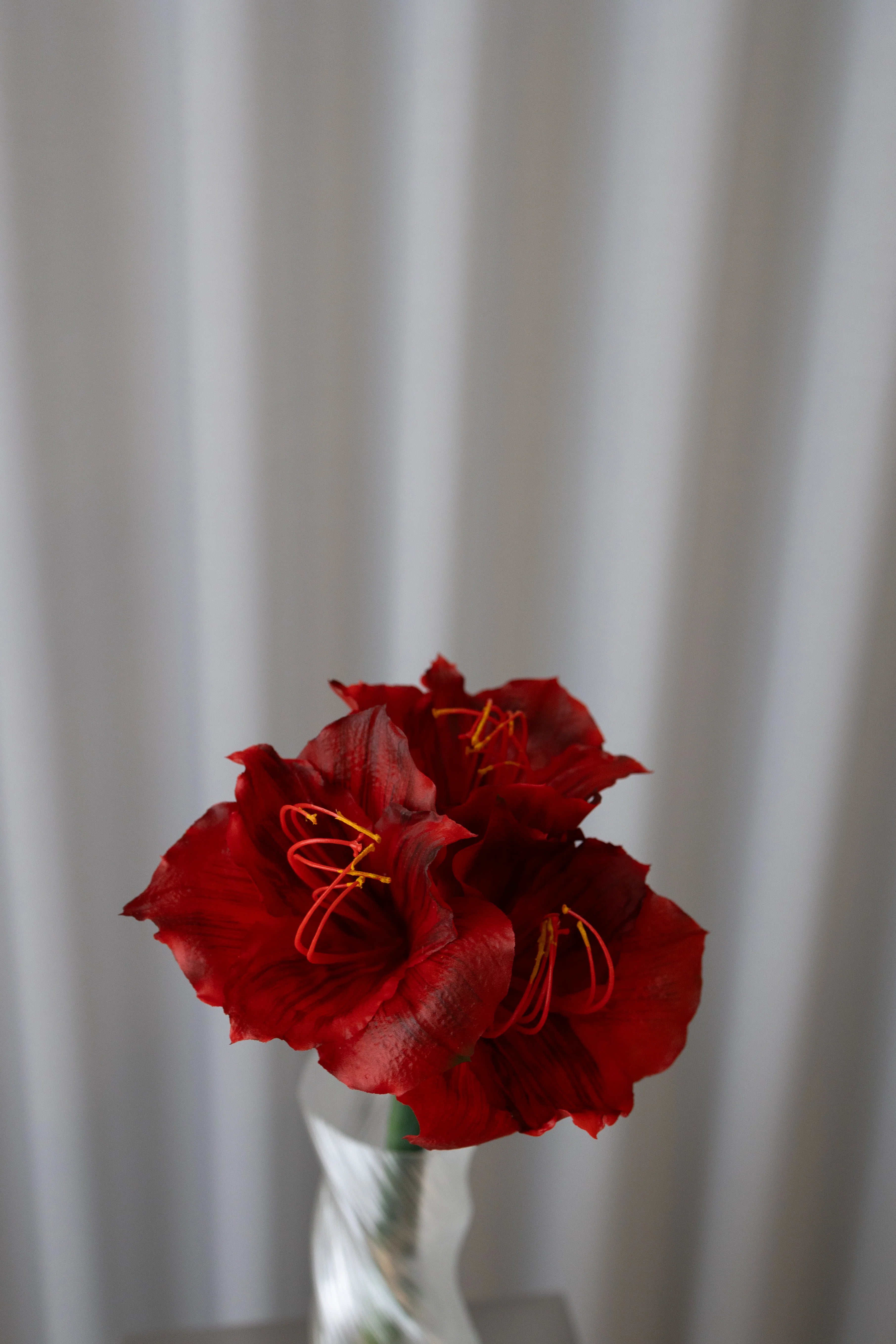 Kunstig amaryllis - rød